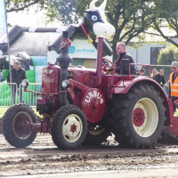 balkbrug 2024