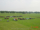 dsc0000239