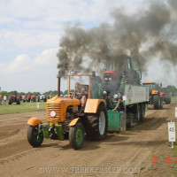dsc0008224