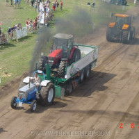 dsc0008695