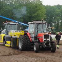 den velde 2019