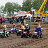 den velde 2019