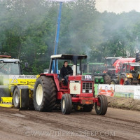 den velde 2019