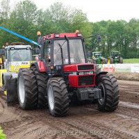 den velde 2019
