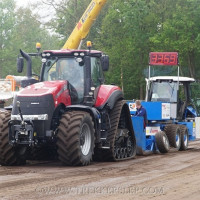 den velde 2019