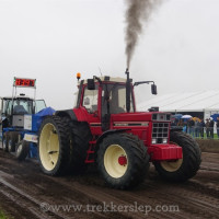 den velde 2025