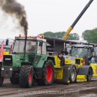 den velde 2025